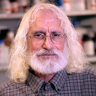 Philip D. Greenberg, MD, FAACR